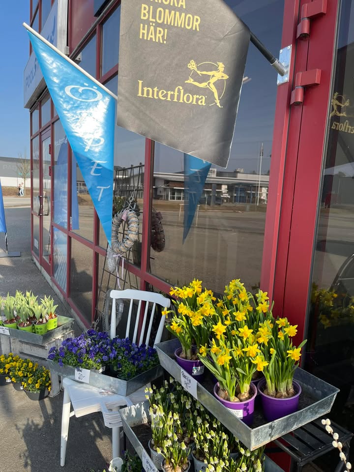 Lilla Hörnan Blomsterbutik