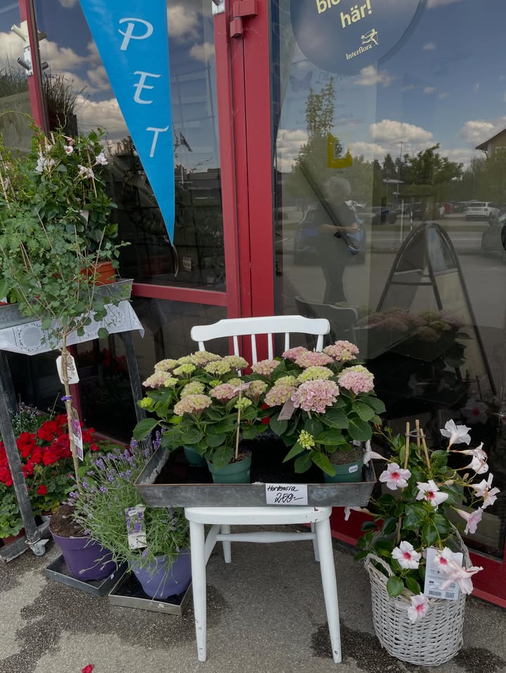 Lilla Hörnan Blomsterbutik